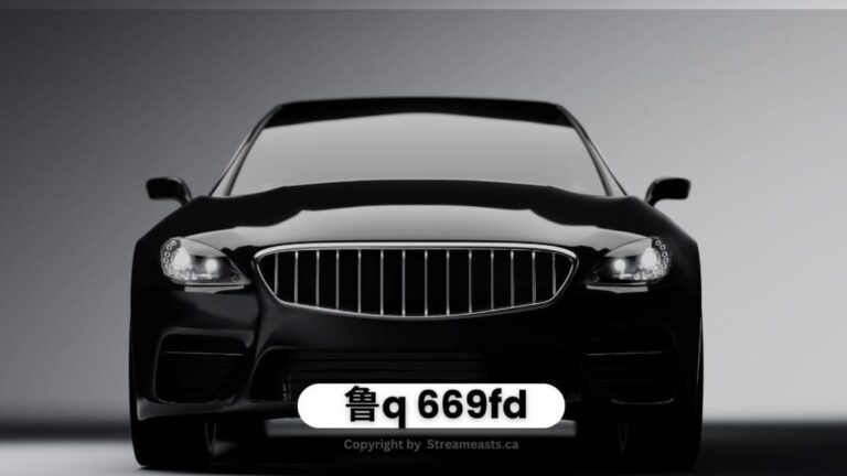 鲁q-669fd